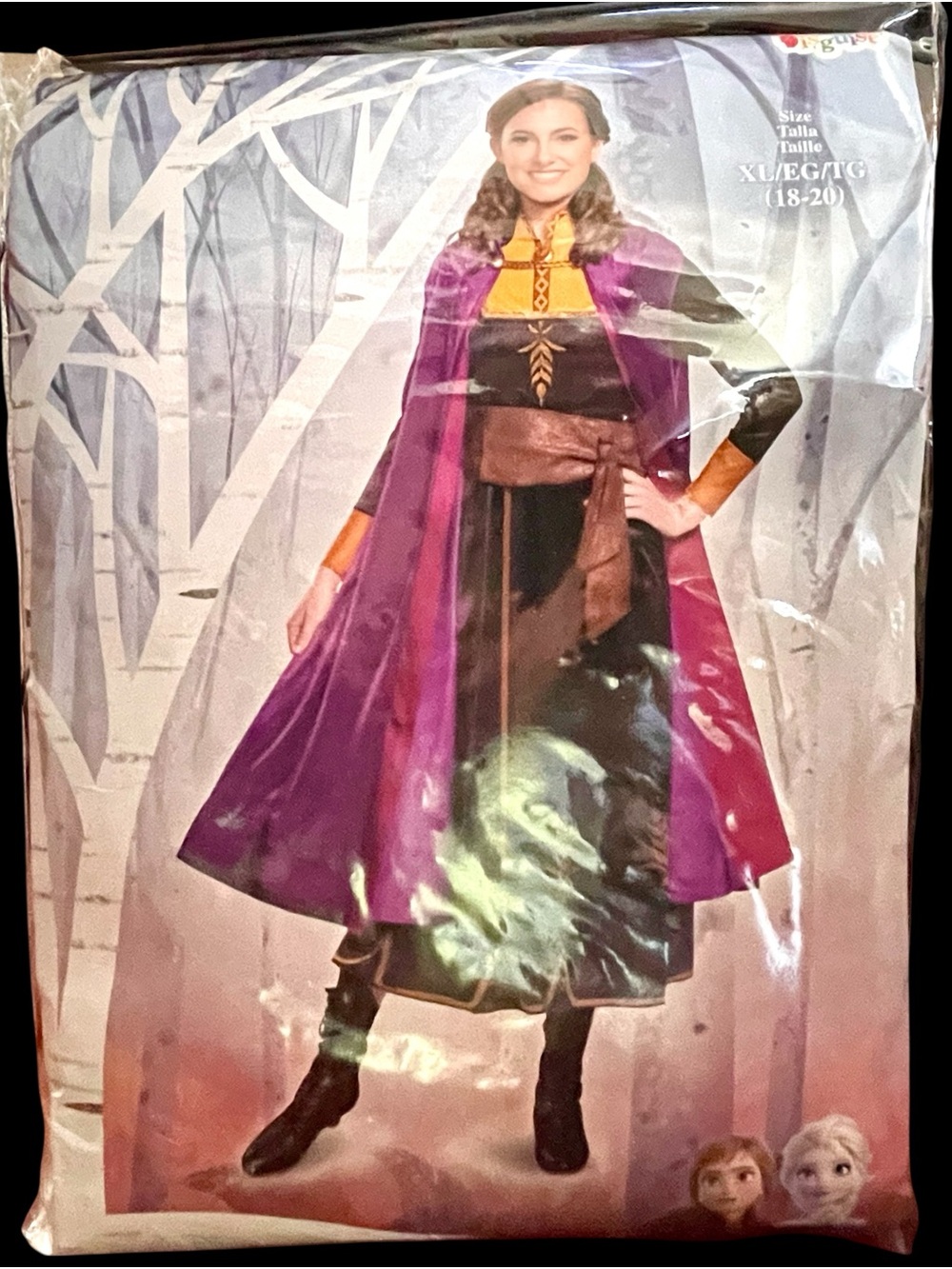 Adult XL Anna from Frozen II Disney Halloween costume